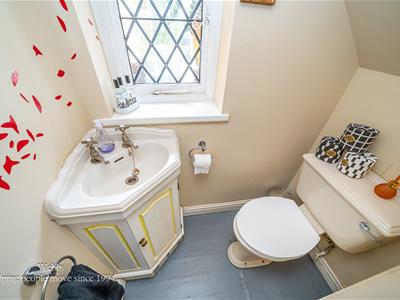 Picture 17